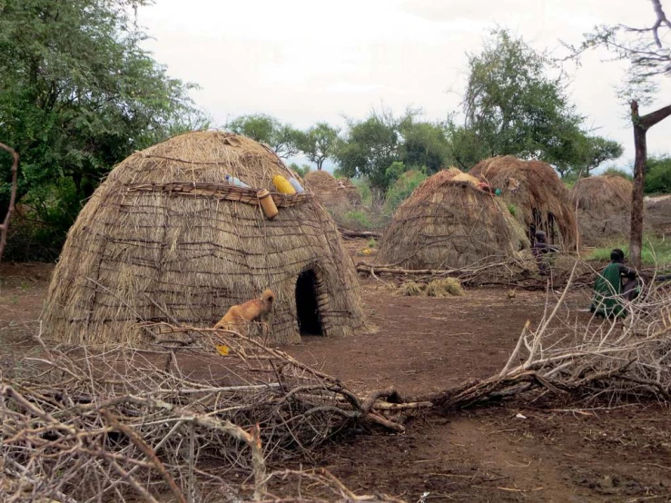 thatched huts are very heavy with people