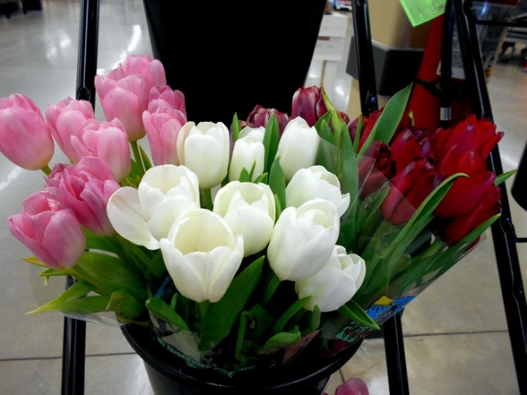 a vase with red and white tulips on a table