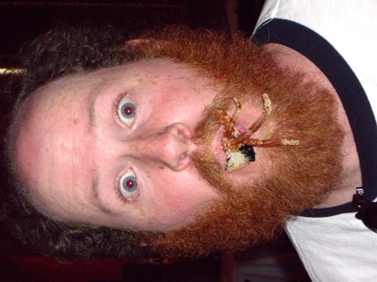 a man with a beard wearing a bow tie and a fake flower