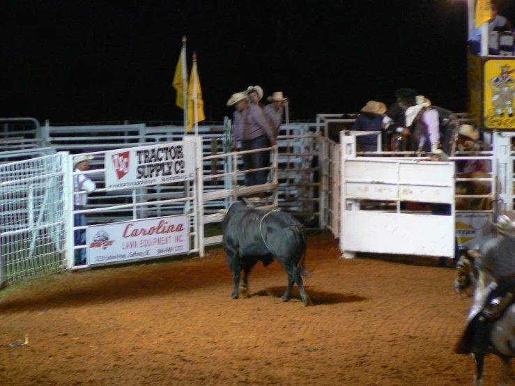 rodeo event at night with man standing on cow