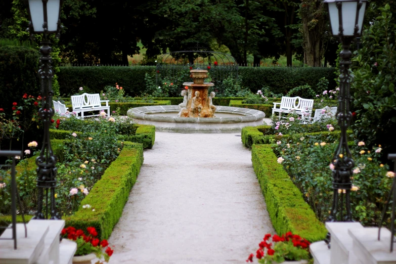 garden with flower and bushes around seating on each side