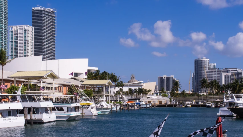 boats docked at the pier in front of the city