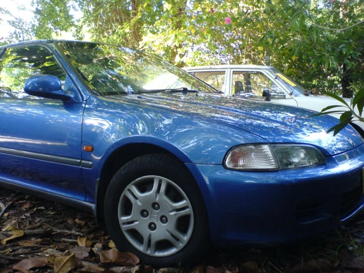 the car parked in a leaf filled area