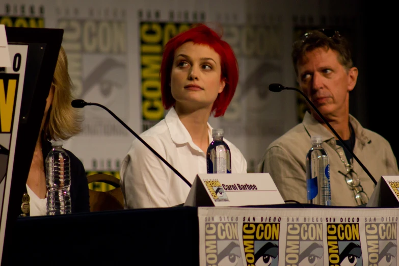 three people sit at a panel with a microphone on it