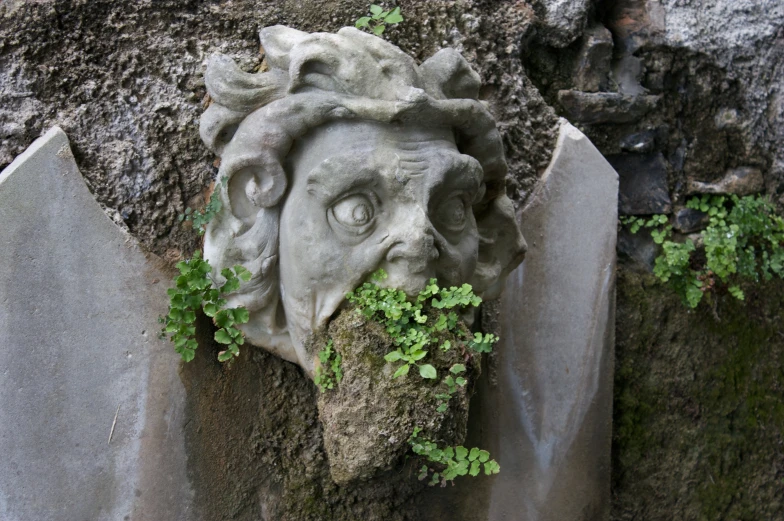 a statue on the side of a wall with vines growing out of it