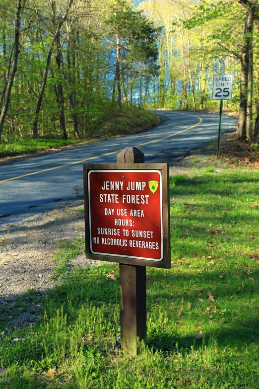 a sign near the road asking not to jump