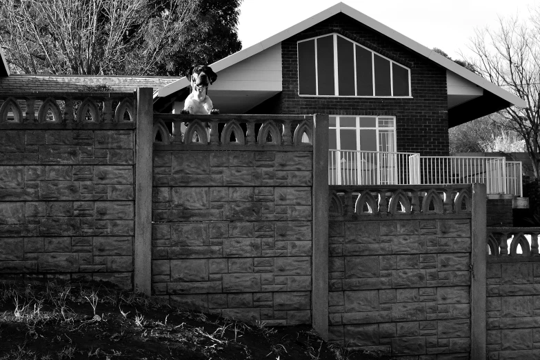 a horse is walking down the street through a fence