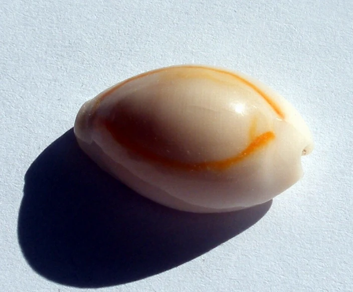 a close up of a white object with yellow highlights
