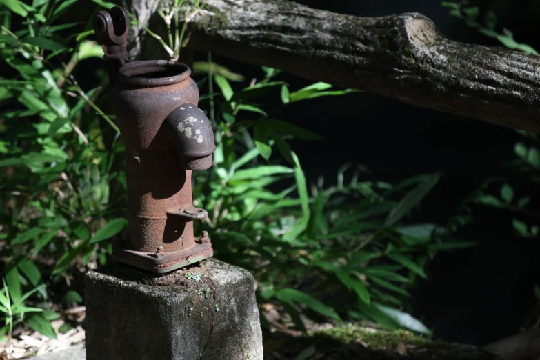 a rusted old water hydrant sitting on a stump