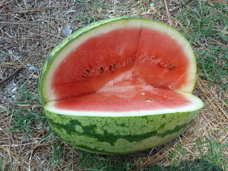 a half watermelon sitting in grass by the grass