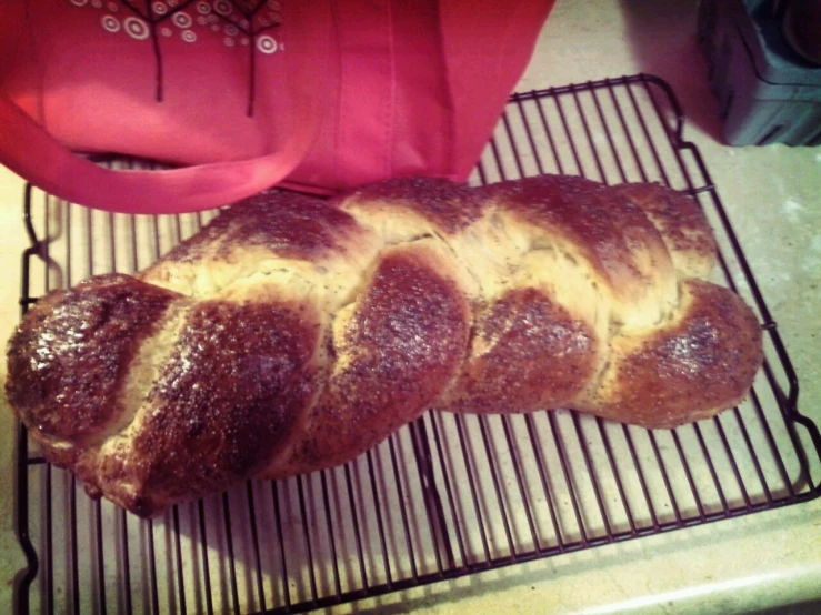 a long loaf of bread is resting on the cooling rack