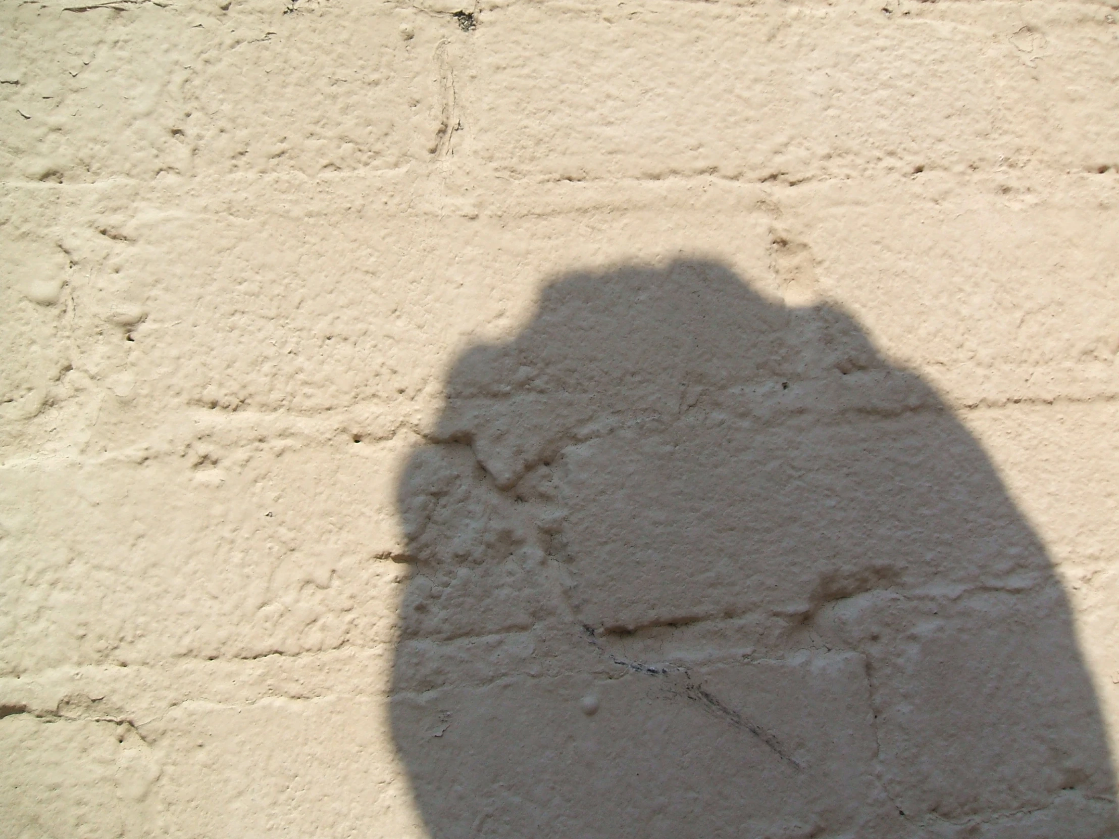 the shadow of a man on a wall holding a teddy bear