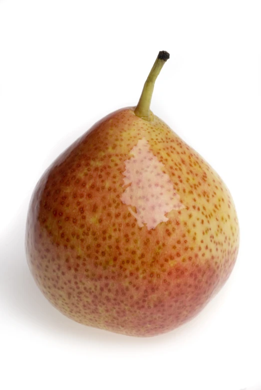 a single ripe pear is standing upright