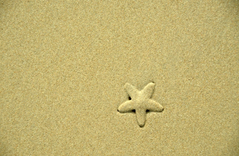 a starfish that is sitting in the sand