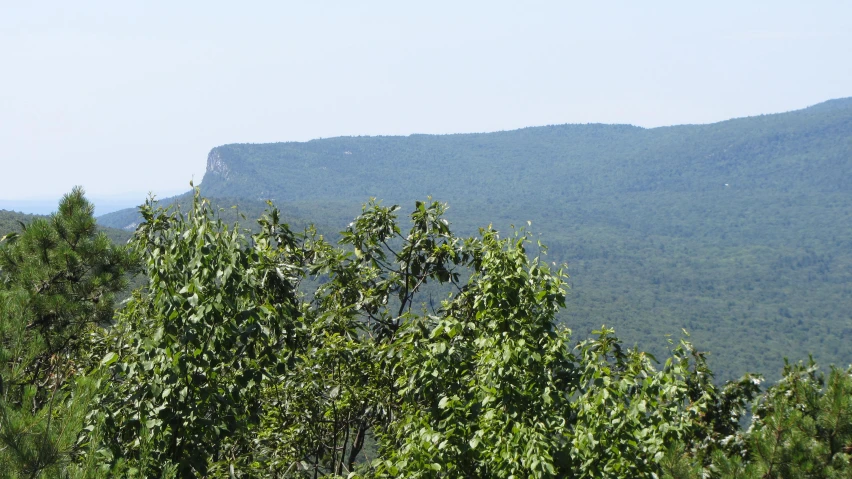 trees overlooking the mountains and mountains on a sunny day