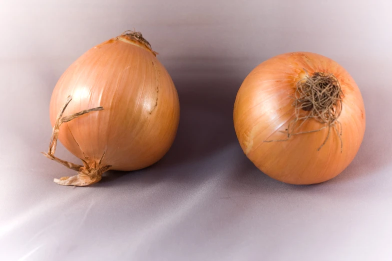 two onions one brown, one light brown