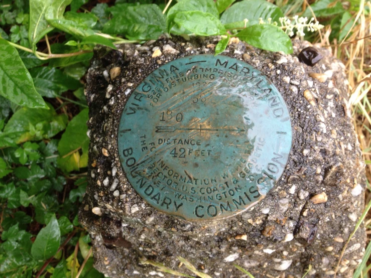 the plaque has been placed among leaves on the ground
