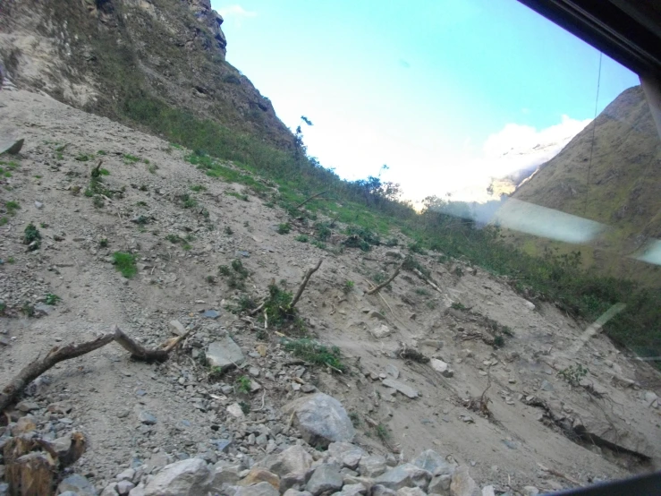 a dirt mountain side with rocks and a small tree in the middle