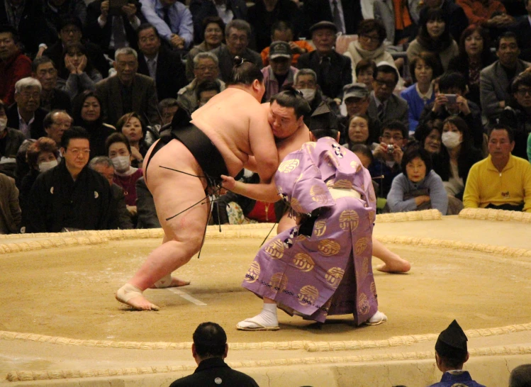 sumo fighters in sumo ring trying to wrestle opponent
