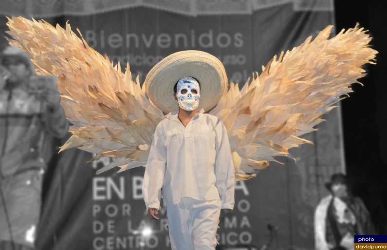 an artistic man wearing a face mask and a feathery costume