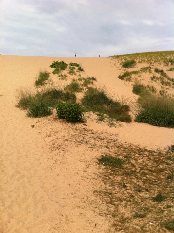 people walking up a large, dry desert