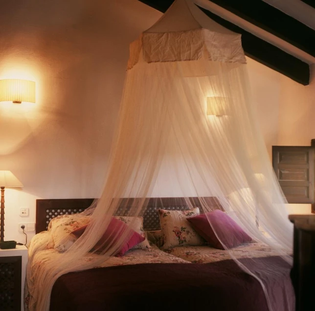 a canopy is hanging over a bed