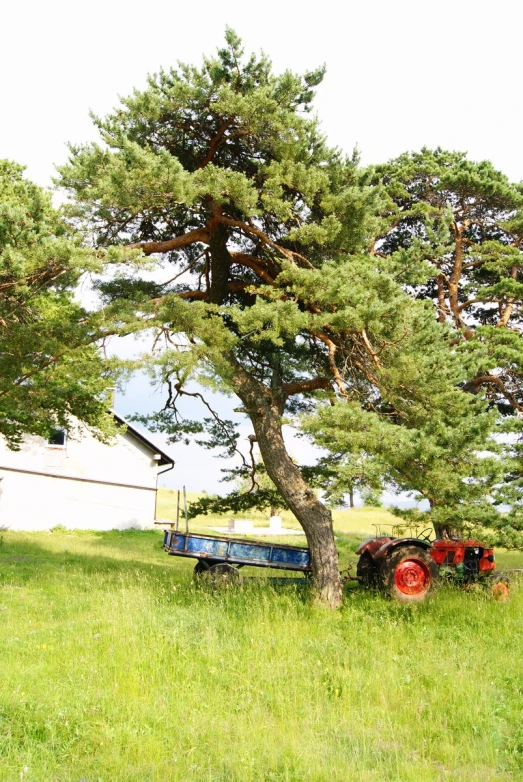 there is a tractor sitting in the shade of a tree