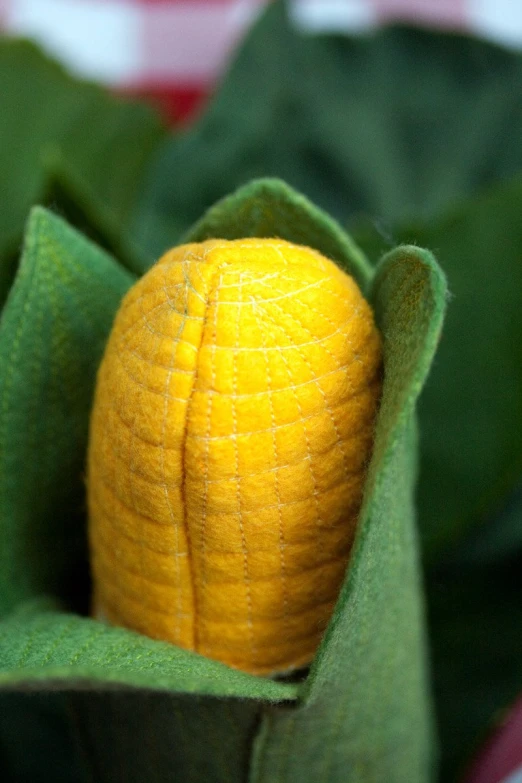 a ripe yellow plant with the leaf partially exposed