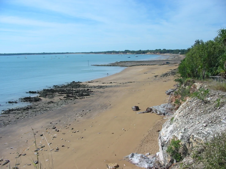 a sandy beach with blue sky and seaweed