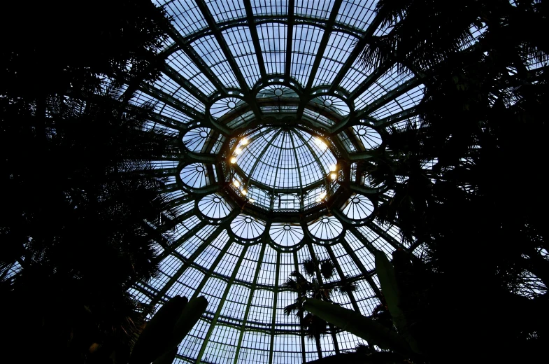 a view up into a glass ceiling with a spiral design