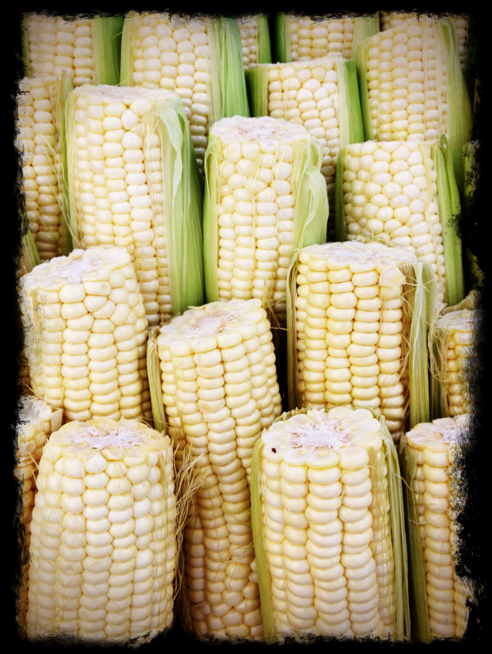 corn on the cob stacked in a pile