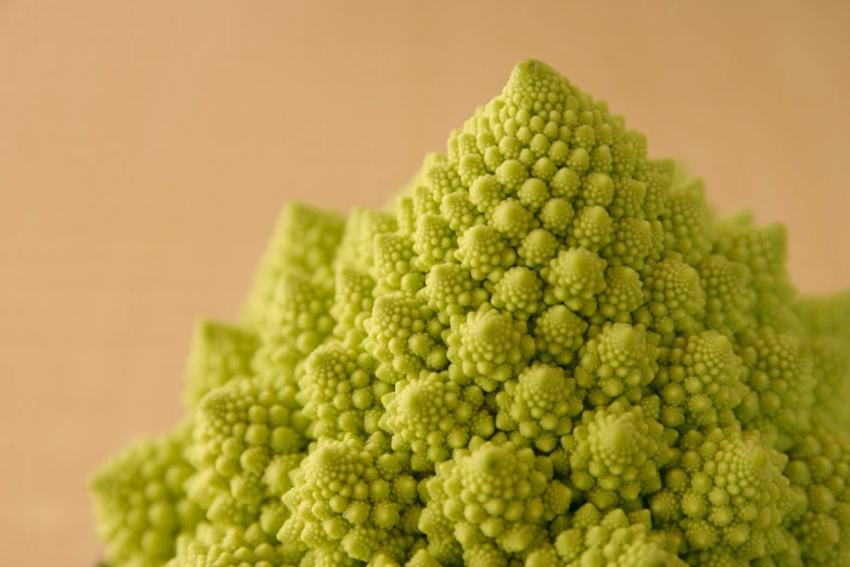 a close up view of a fresh head of broccoli