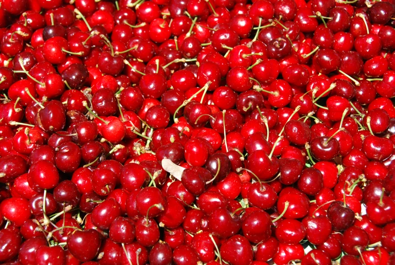 there are lots of cherries in the bin