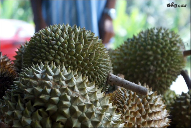 several fruits in the middle of each other