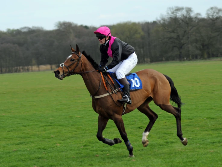 a horse and jockey are in motion in an open field
