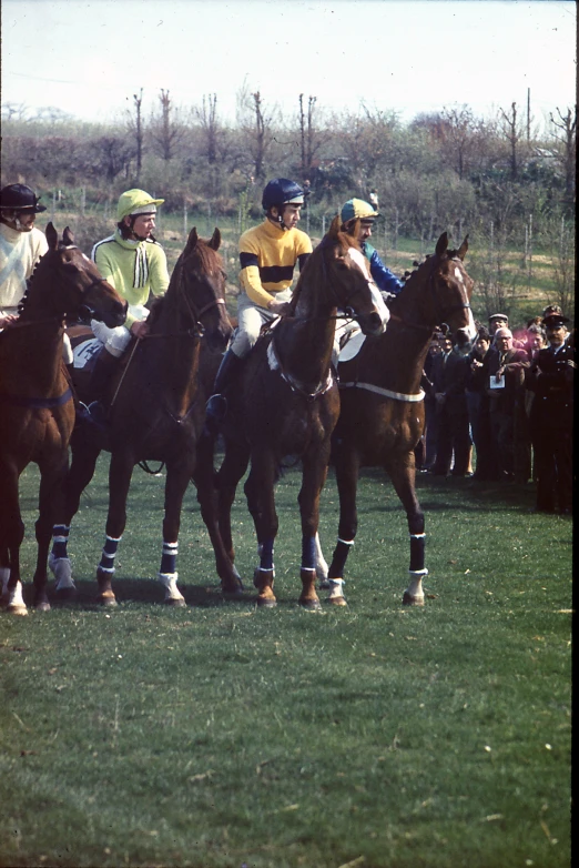 three jockeys and their horses are lined up in the grass