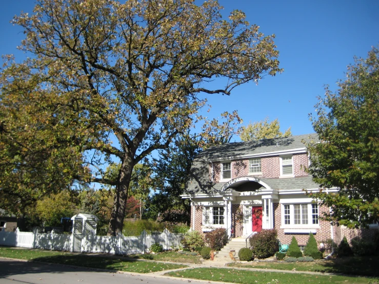 a house with a tree next to it in the middle of a yard