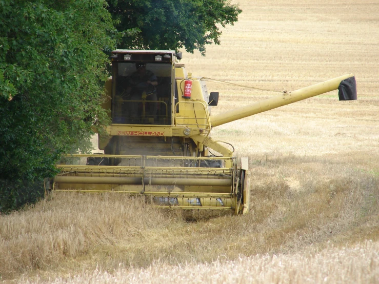 the back end of a tractor in a wheat field