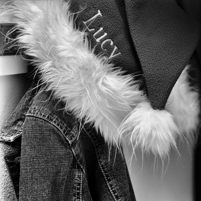 close up of a denim jacket with a furry tail and letters on it