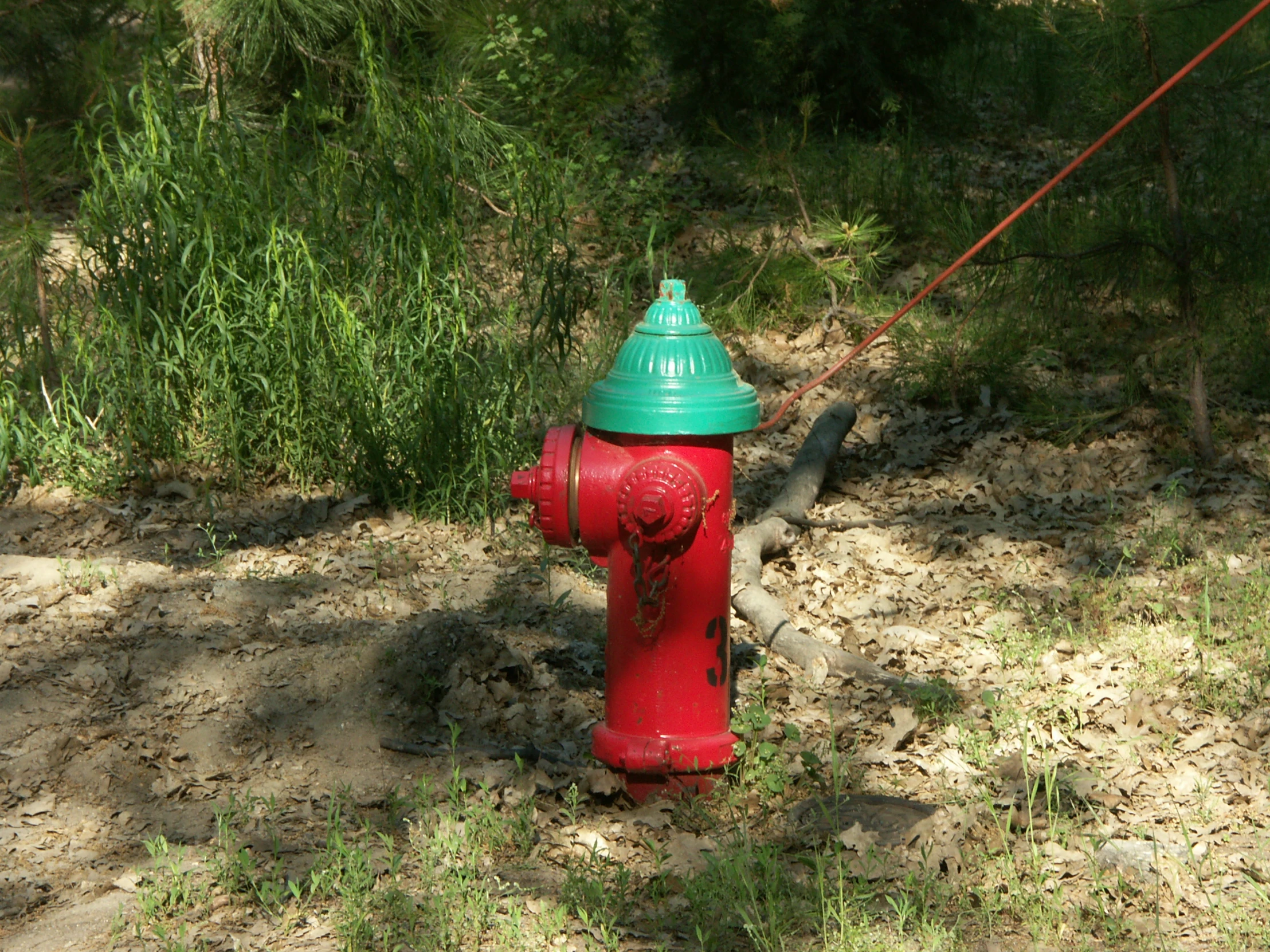 a fire hydrant sitting in the middle of a dirt road