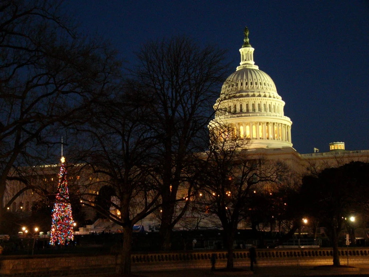 a large christmas tree with people near it in the night