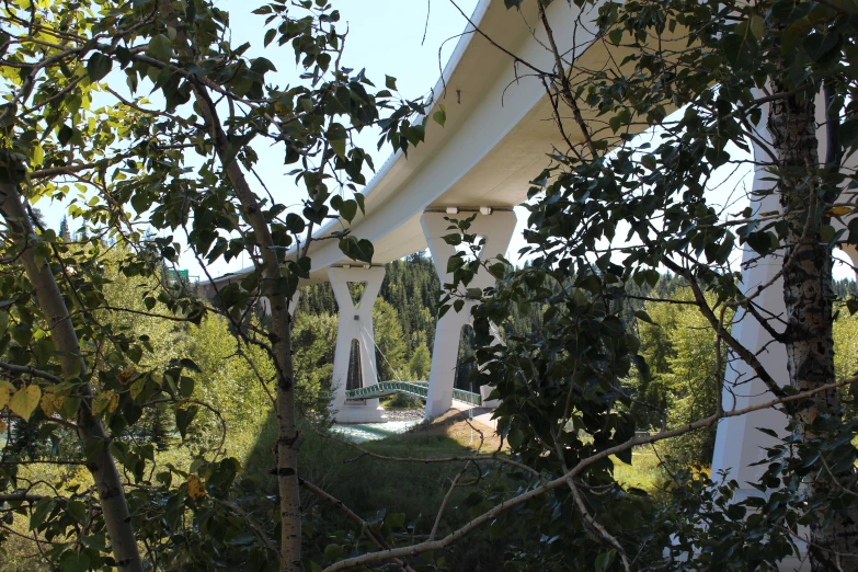 some trees and a large white structure that has a clock