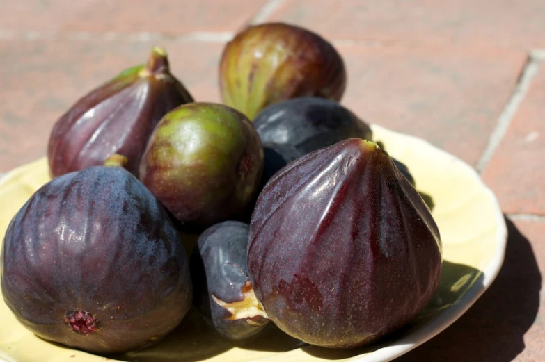 figs are on a yellow plate that sits on the ground