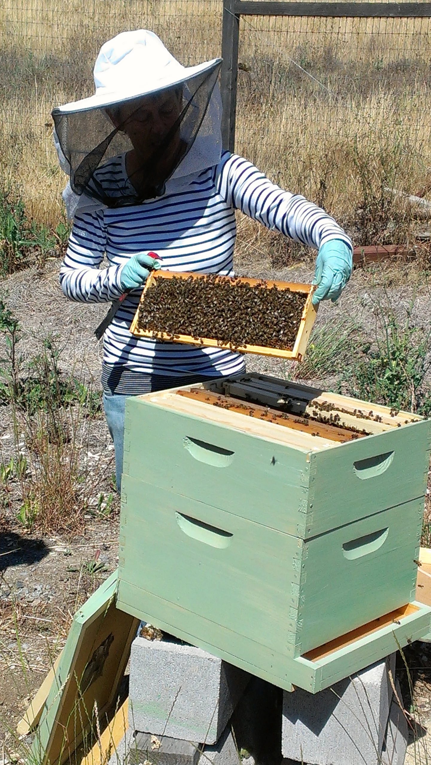 the woman is wearing beeshells and looking at the hive