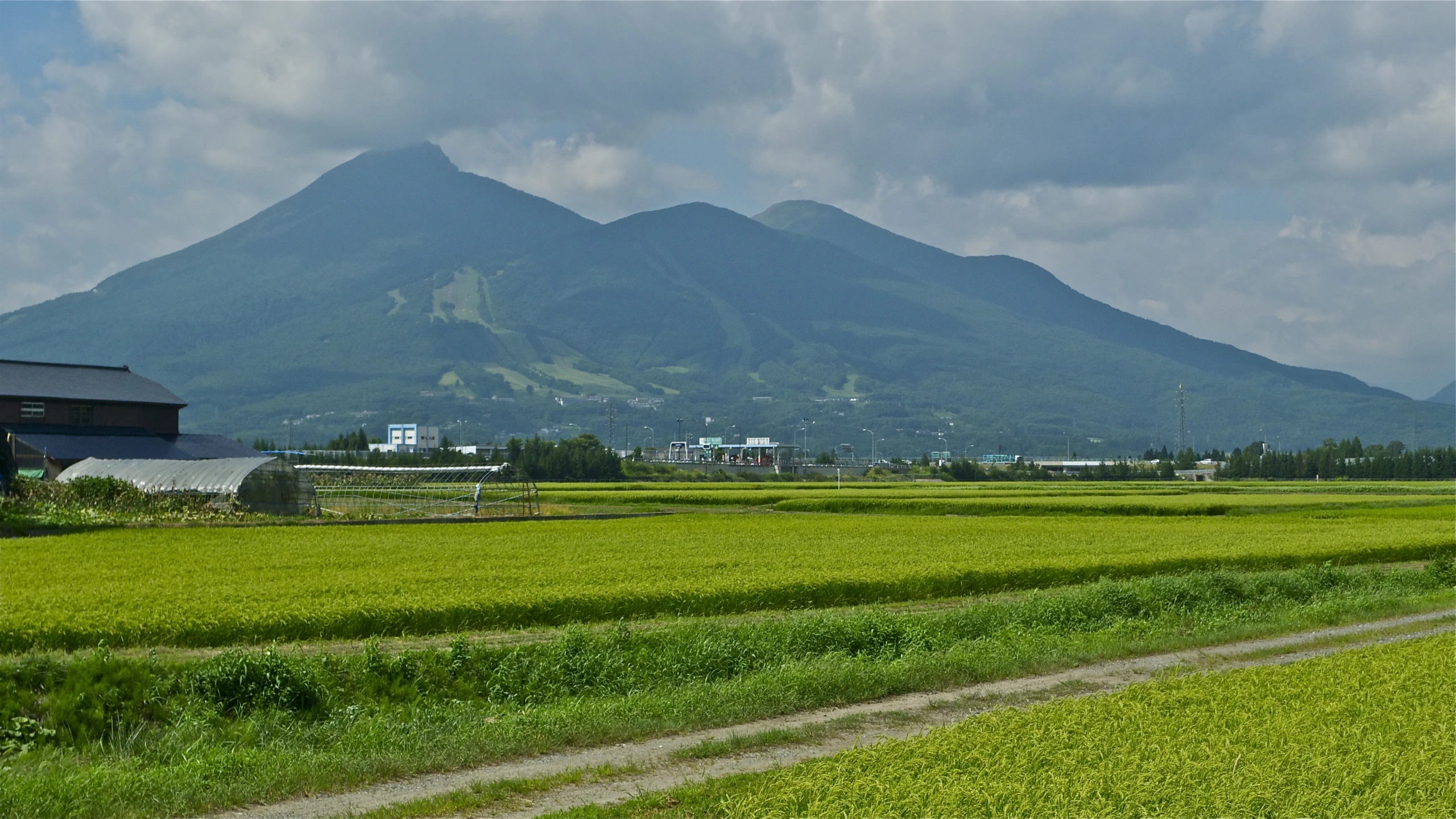 a lush green field with mountains in the background