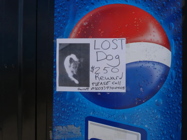 a close up of a blue and white door with pictures of the same person