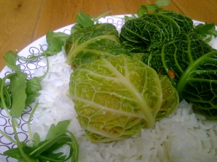 some type of vegetable on a plate of rice