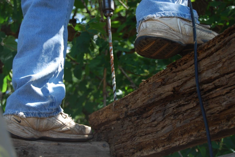 a person wearing blue jeans is standing on a large log