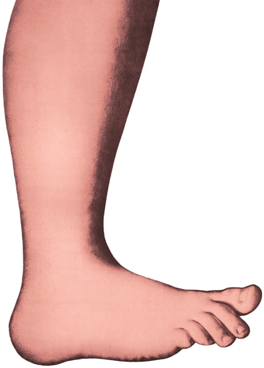 the bottom half of a foot that is in white, pink and blue