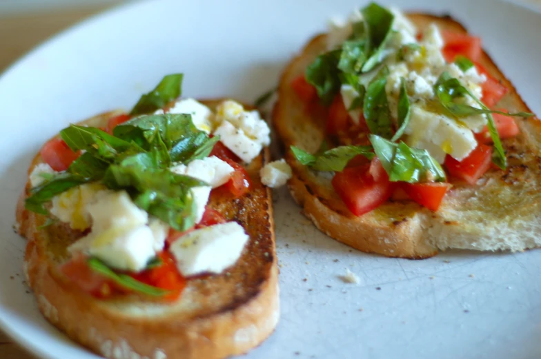 two toasted breads with tomatoes, cheese and herbs